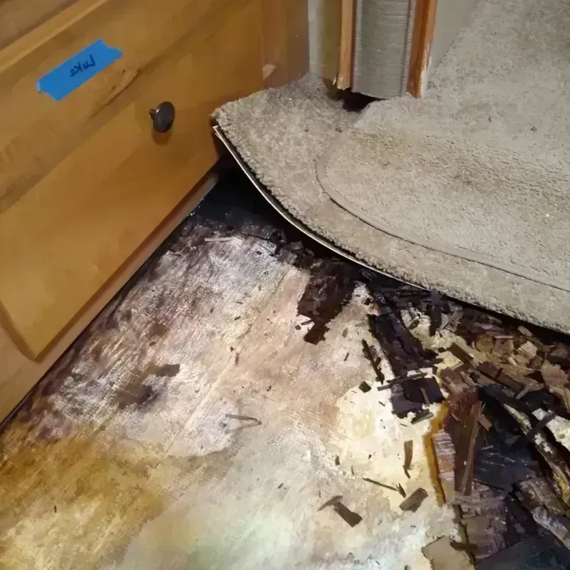 Wood Floor Water Damage in Silver Spring, MD